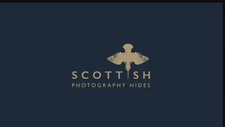 This really is What Wildlife Photography Entails