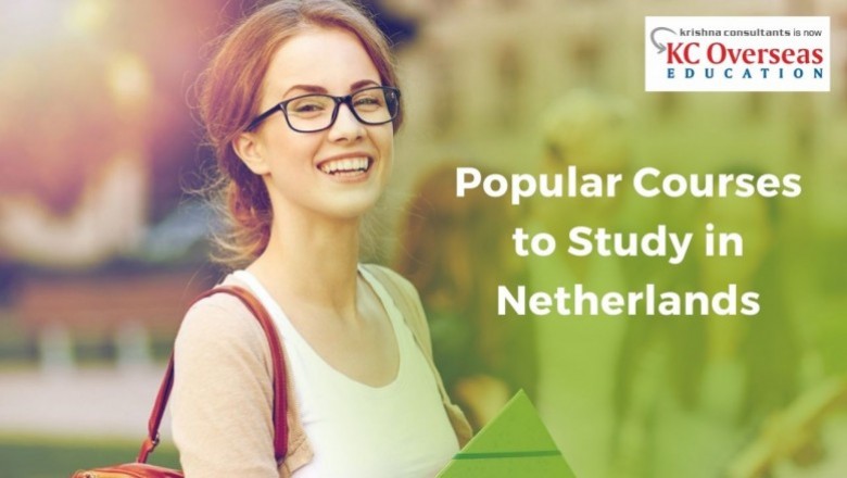 Top Courses Students Choose to Study in Netherlands