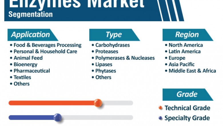 What are the Key Growth Drivers of Global Enzymes Market?