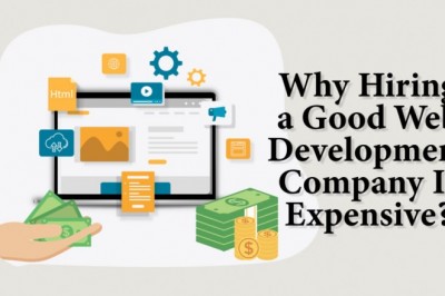 Why hiring a good web development company is expensive?