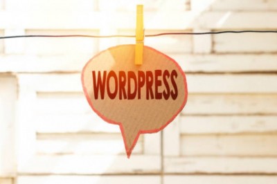 wordpress development company Services