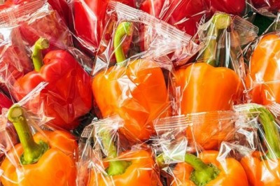 Canada Nano-enabled Packaging for Foods and Beverages is a massive market in Canada thanks to its low waste production and cost-saving characteristics