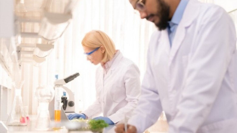 Food Product Development Practice in Medium-Sized Food Processing Companies