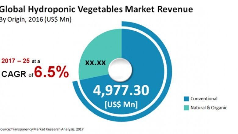 Hydroponics Market Trends, Growth and High Demand During Forecast by 2025