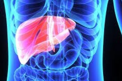 Transplant Diagnostics Market Outlook and Opportunities in Grooming Regions