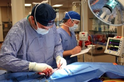 Cranial Fixation and Stabilization system Market  Analysis, Manufacturers, Regions, Type and Application, and Forecasts to 2027 | Comprehensive Analysis, Business Growth Prospects