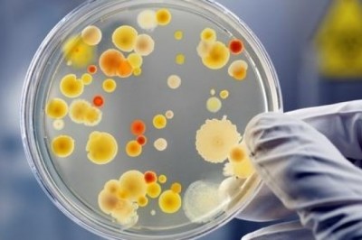 Global Microbiology Testing Market Growth, Trends, Competitive Analysis by Leading Players, Demand, Outlook by 2027