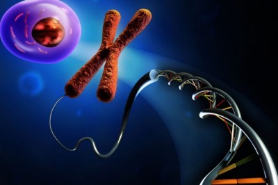 Recombinant DNA Technology Market Analysis Growing Rapidly With Latest Trends, Development, Revenue, Demand And Forecast To 2027 | Eli Lilly and Company (U.S.), Merck & Co., Inc. (U.S.), Boehringer Ingelheim (Germany), Biogen