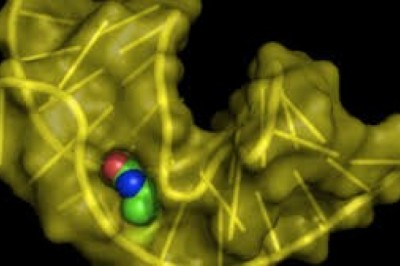 An Aptamer that Binds to the Spike Protein of SARS-CoV-2 Can Prevent Virus Multiplication and Penetrating Cells