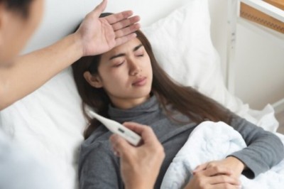 Best Herb for Typhoid - List of Herbs Effective Against Typhoid