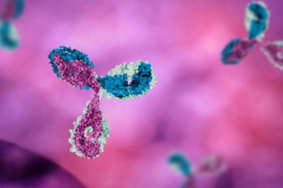 Many biomanufacturing processes rely on protein A resin as a binding agent