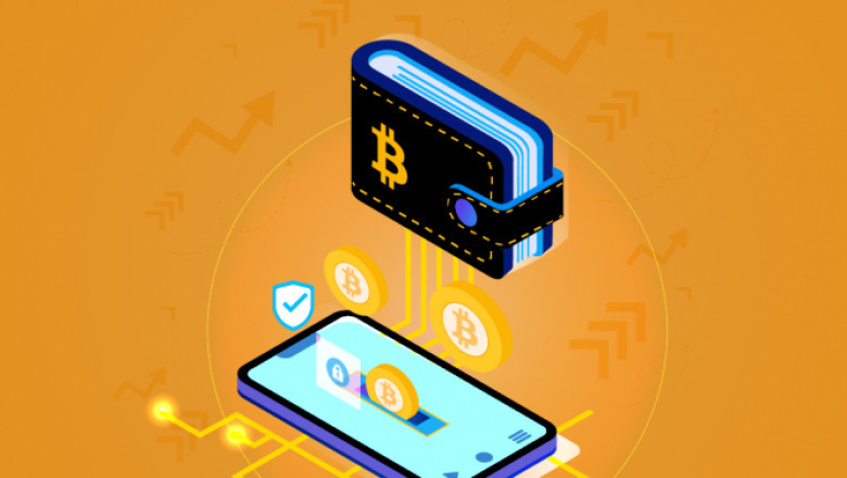Detailed Guide On The Types Of Crypto Wallets