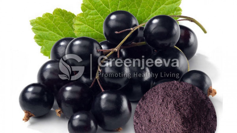Organic Maqui Berry Juice Powder