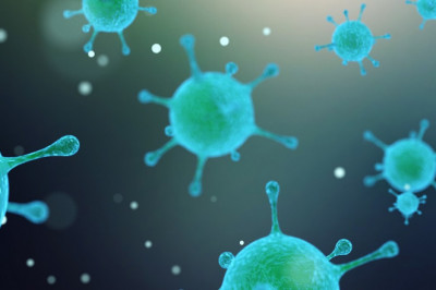 The microbial contract biomanufacturing market by Roots Analysis