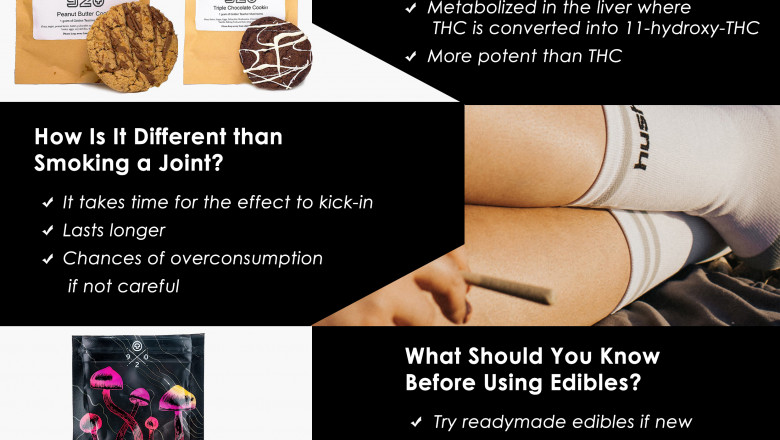 Infographics: Beginner’s Guide for Buying Edibles Online