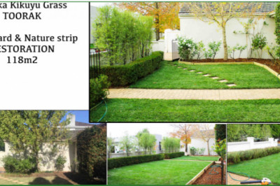 A Solution to Save Both Your Time And Effort