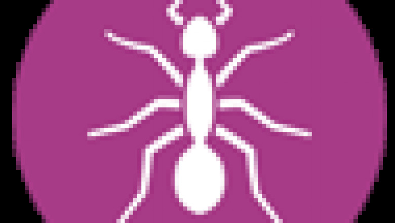 sunrise pest control