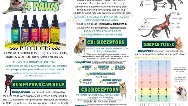 Hemp4Paws.Asia - CBD oil