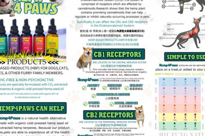 Hemp4Paws.Asia  - CBD oil