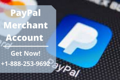 Learn Everything About PayPal Merchant Account