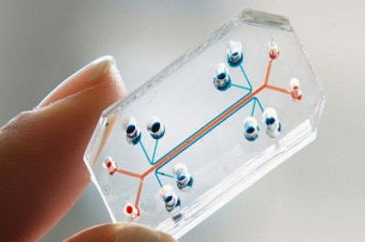 Organ-on-Chip Market to Grow with an Impressive CAGR During the Forecast Period | TechSci Research