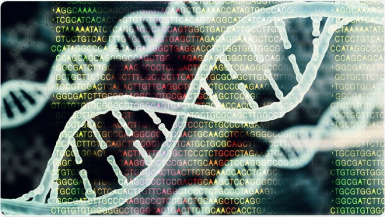 Bioinformatics Market Expansion Projected To Gain An Uptick During 2027