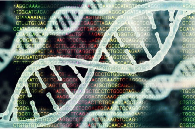 Bioinformatics Market Expansion Projected To Gain An Uptick During 2027