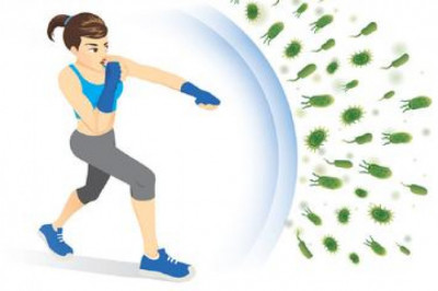 HOW TO STRENGTHEN YOUR IMMUNE SYSTEM THROUGH DIET