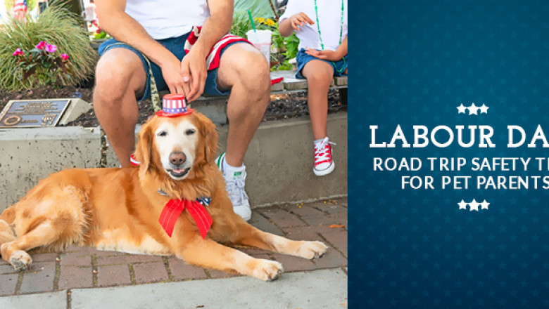 Labour Day: Road Trip Safety tips for Pet Parents