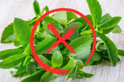 WHY WAS STEVIA BANNED IN USA, EUROPE, INDIA?