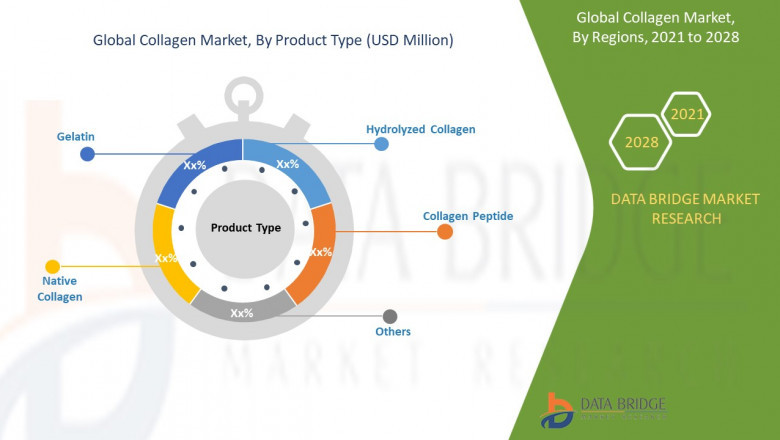 Collagen Market Growth with Trends, Analysis by Type, Application, Regions, Restraints, and Top Key Players Profile and forecast to 2028