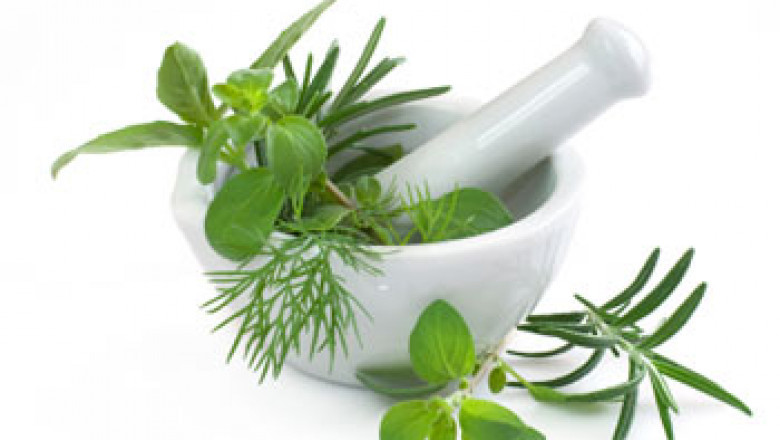 Lakeside Natural Health Centre: One of the Best Naturopathic Mississauga Clinics