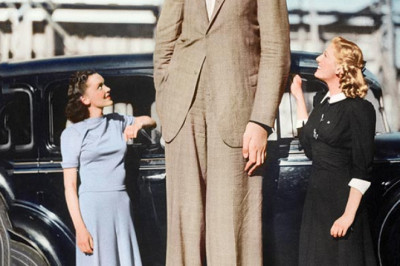 Tallest person in the world