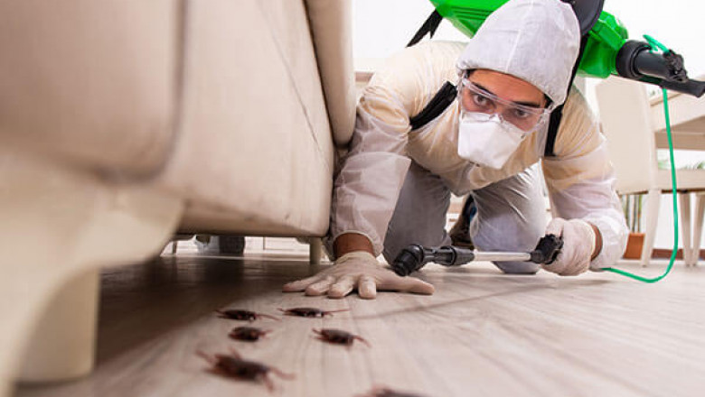 Toms Pest Control Brisbane