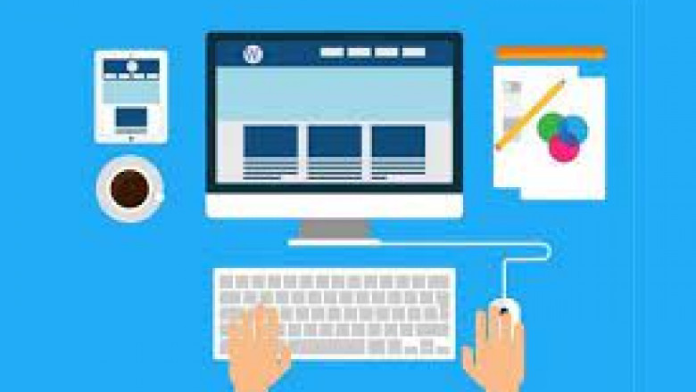 Website Design Specialists Gold Coast |thecreative