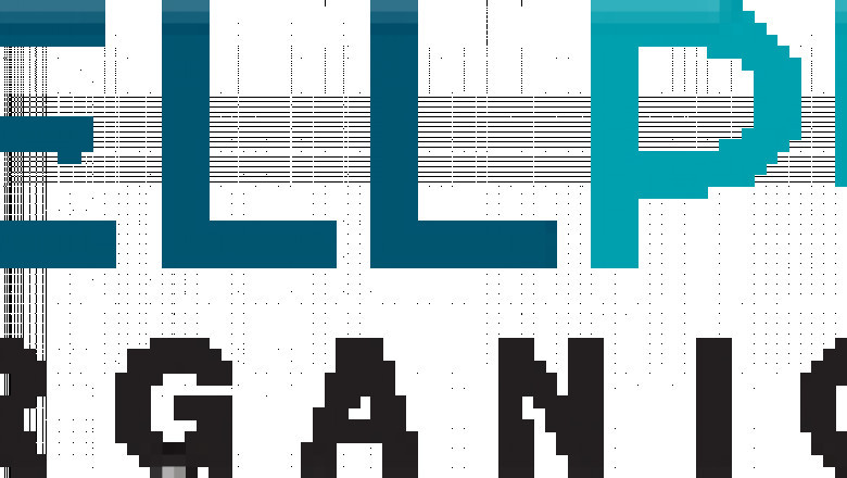 Best Calming Cbd For Dogs