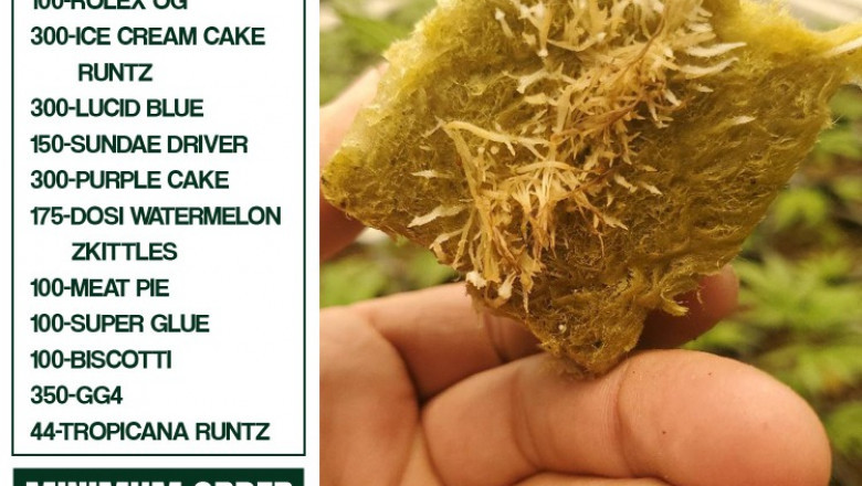 Fresh and Healthy Purple Punch Clones