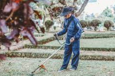 Best Landscapers & Gardeners North Shore, Sydney, Australia