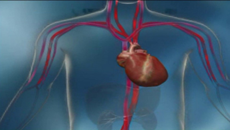 Cardiac Assist Devices Market Poised To Garner Maximum Revenues During 2026