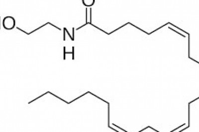 Fatty Amides Market Sales Forecasts Reveal Positive Growth Through 2027