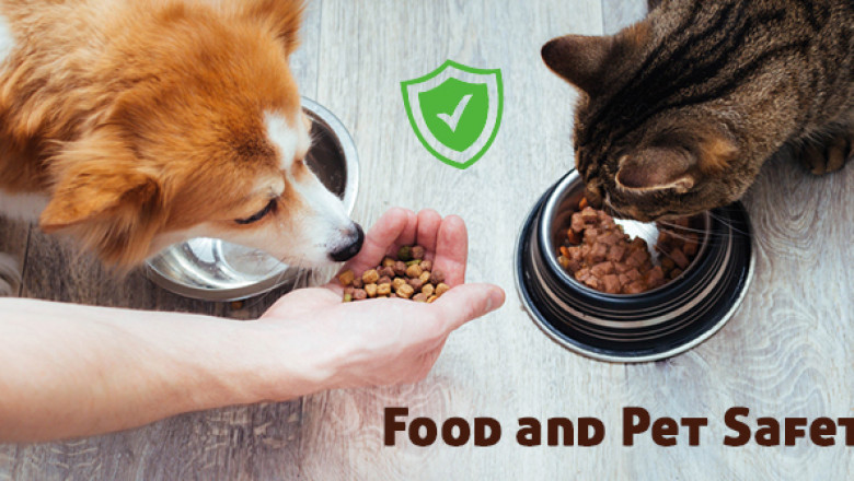 Food and Pet Safety
