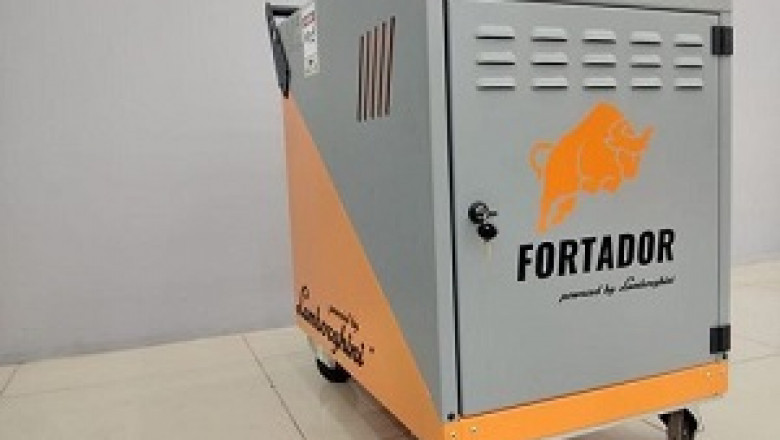 Fortador Steam Cleaner: Your car's Best Friend and Dirt's Worst Foe