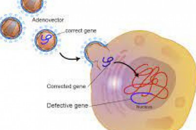 Gene Therapy Market :Dynamics Influencing Revenue Growth During Forecast (2018-2026)