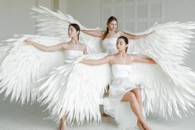 Buy Angel Wings Online – Guide To Buy Angel Wings Online Wholesale Uk!