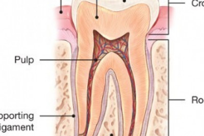 Santee Dentist Office | Dental Express