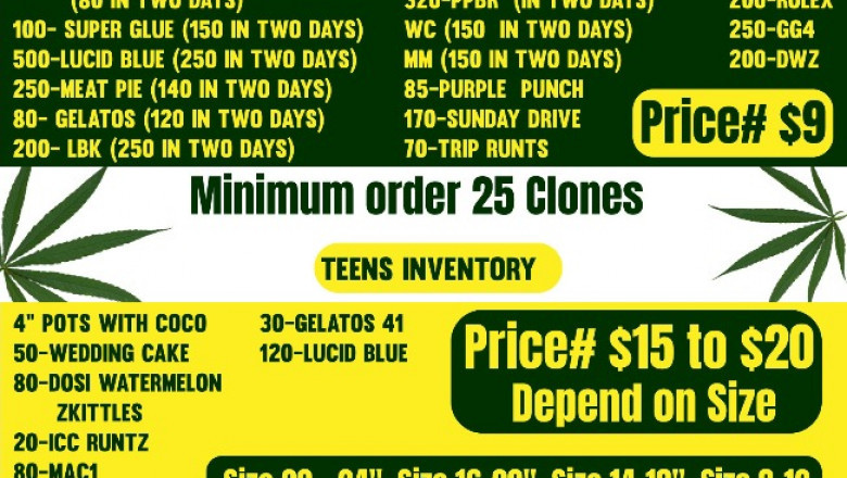 We offer the best Exoticclones