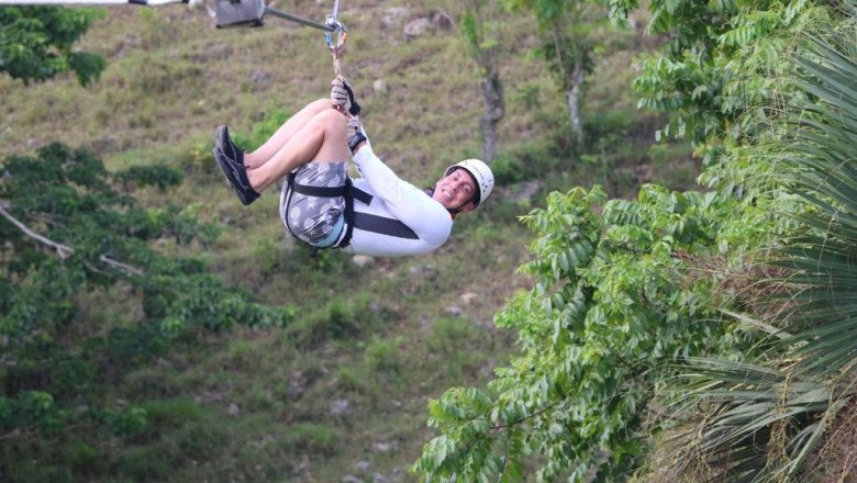 Explore an Ancient Native Forest Zipline Canopy Tour