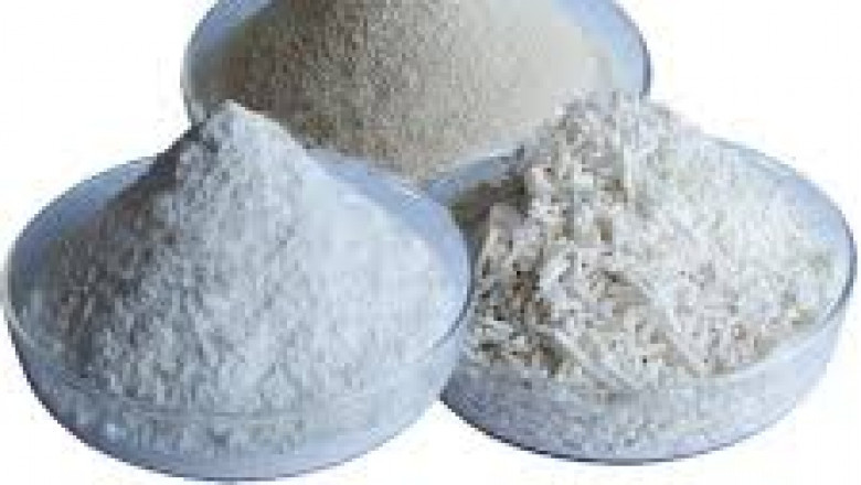 Comprehensive Study on Food Grade Alginate Market 2021 with Top Leading Vendors like Atmel Corporation, Google Inc.