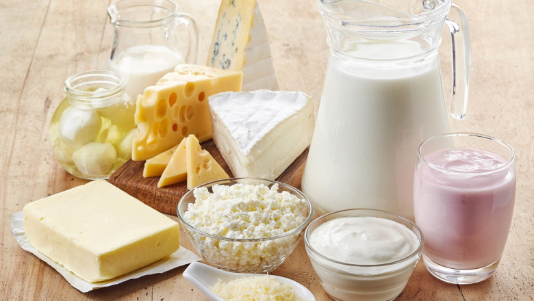 Dairy Nutrition provides calcium and phosphorus to the human body through the daily diet