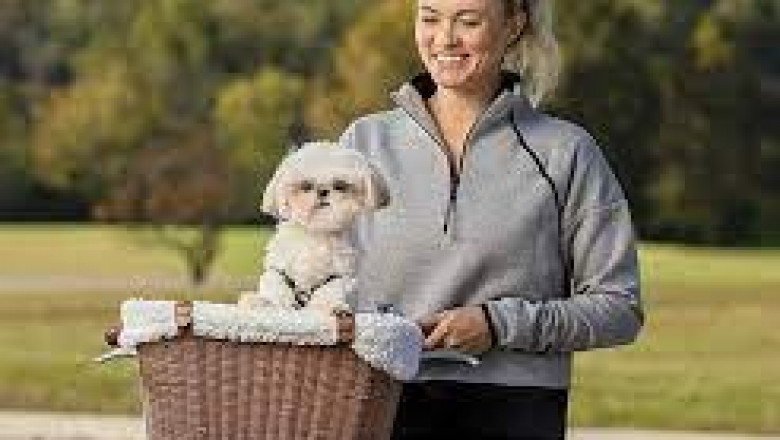 The 13 Best Dog Bike Baskets